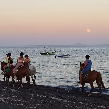 Ξενοδοχείο Pleasure Beachside 3*