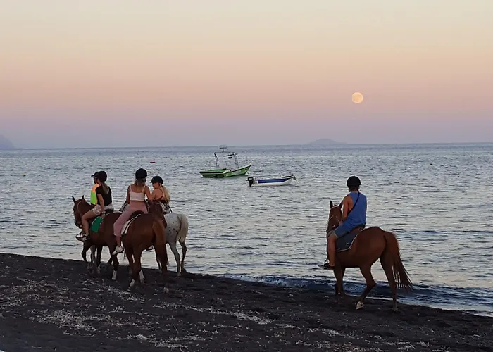 Pleasure Beachside Hotel 3*