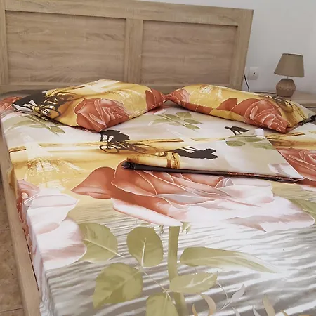 Pleasure Beachside Hotel 3*